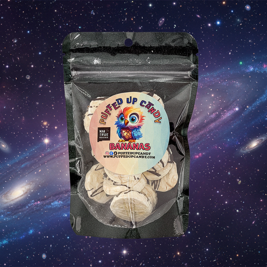 Freeze Dried Chocolate Bananas